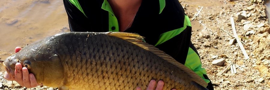 Sandrie Wessels met een van haar persoonlike bestes onder die varswatervisse, ‘n yslike karp van 6.62kg